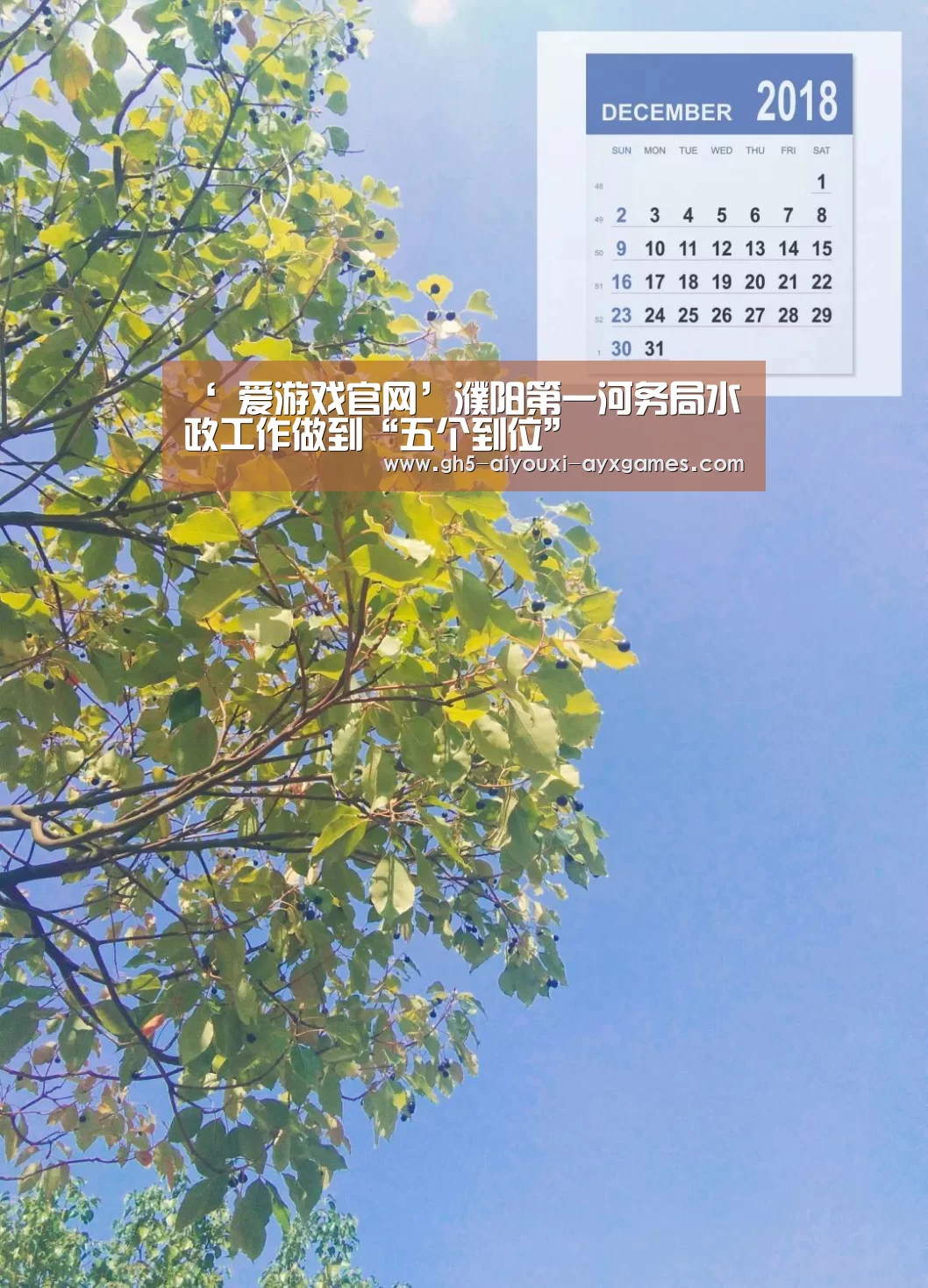  爱游戏官网