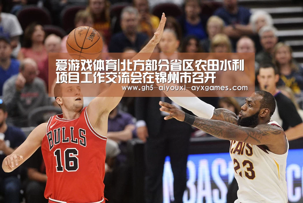  爱游戏体育App下载
