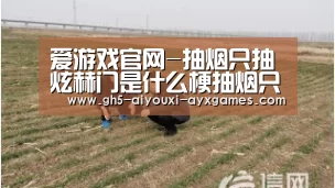 爱游戏官网