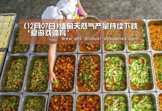 (12月07日)缅甸天然气产量持续下跌‘爱游戏体育’(图2) 爱游戏体育App下载
